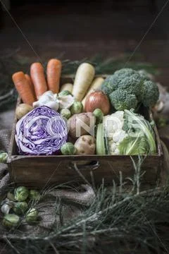 A Vegetable Box With Red Cabbage, Potatoes, Brussels Sprouts, Carrots, Parsnips,