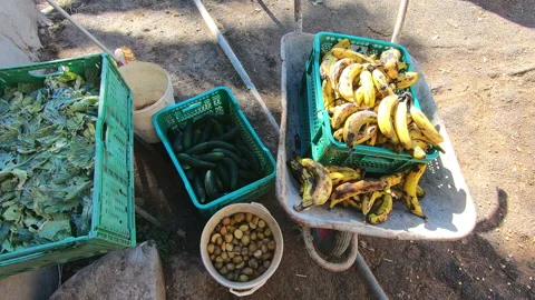 Vegetable boxes, cucumbers, canary banana and potatoes 4k Video stock 170675634