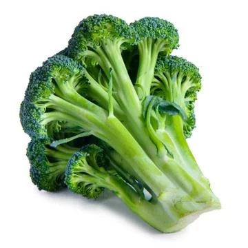 Vegetable broccoli isolated Stock Photos
