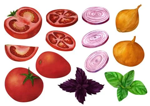 Vegetable bundle, tomato, onion and basil watercolor illustration, isolated o Stock Illustration