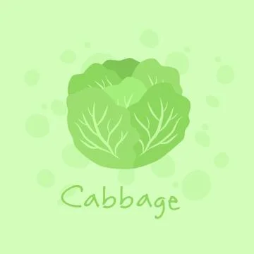Vegetable Cabbage vector illustration Stock Illustration