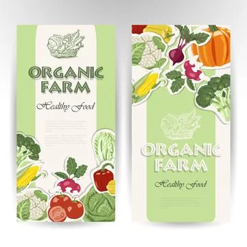 Vegetable card template. Stock Illustration