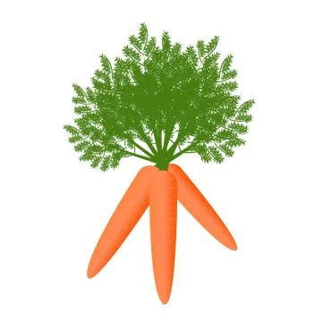 Vegetable carrot for your ideas Stock Illustration