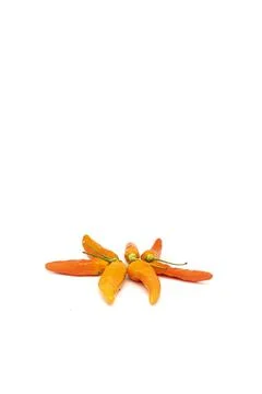 Vegetable chilies on white background Stock Photos