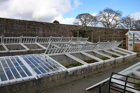 Vegetable in cold frames at the lost Gardens of Heligan. Some are propped ope Stock Photos