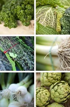 Vegetable on a collage Stock Photos
