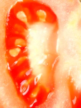 Vegetable composition of tomato Stock Photos