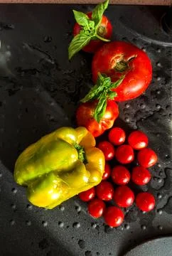 Vegetable composition with tomatoes, cherry tomatoes, peppers and basil on .. Stock Photos