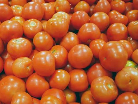 Vegetable counter with tomatoes Stock Photos