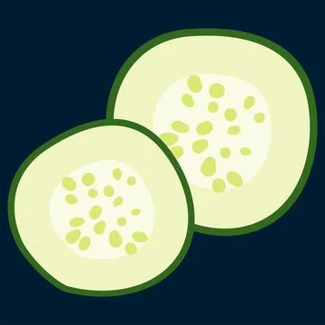 Vegetable Cucumber Seed vector Stock Illustration