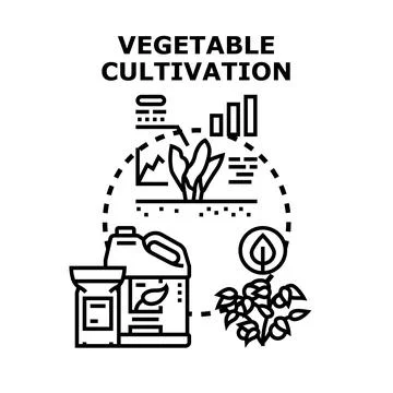 Vegetable cultivation process growing organic food produce イラスト素材