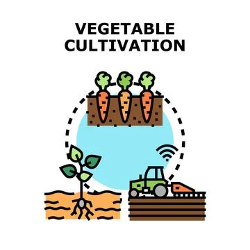 Vegetable cultivation process smart farming technologies concept イラスト素材