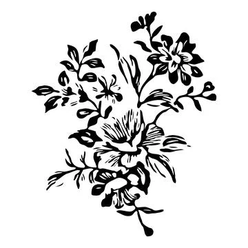 Vegetable design element. Black and white color. Isolated icon, sketch, Stock Illustration