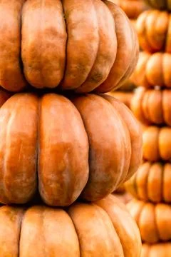 Vegetable design pumpkin tower vertical pile decor ribbed natural art autumn Stock Photos