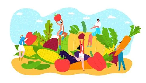 Vegetable diet food concept, vector illustration. People character in healthy Stock-Illustration