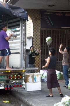 Vegetable distribution process Stock Photos