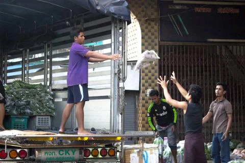 Vegetable distribution process Stock Photos