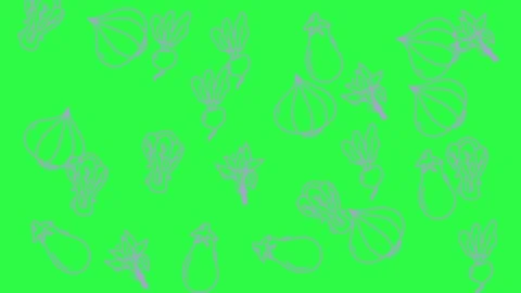 Vegetable Doodle Pattern Animation on Green Screen Background Stock Footage 344909958
