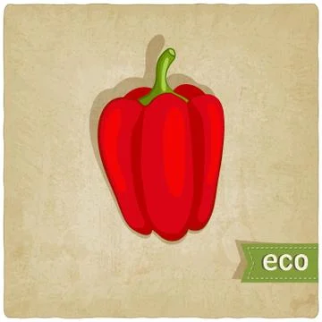 Vegetable eco old background Stock Illustration