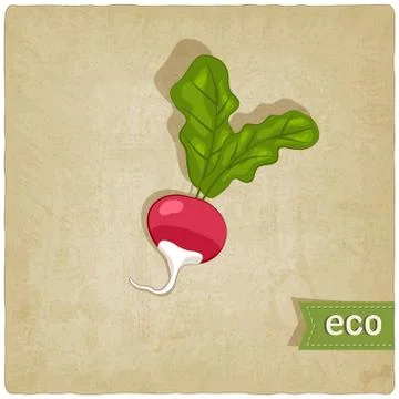 Vegetable eco old background Stock Illustration