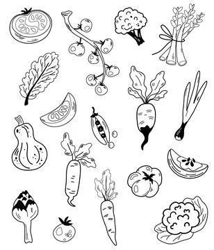 Vegetable element doodle line set. Onion, tomatoes, artichoke, radish, peas,  Stock Illustration