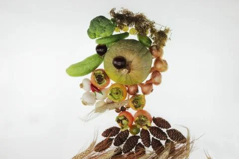 Vegetable face composition 库存照片