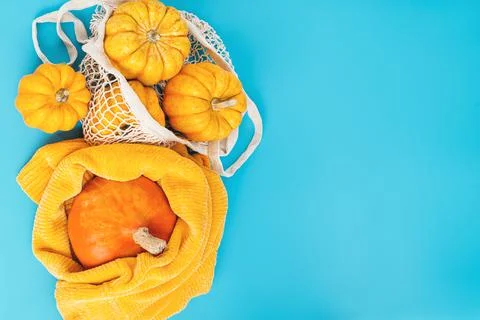 Vegetable fall food concept.Composition of different varieties pumpkins.Happy Stock Illustration