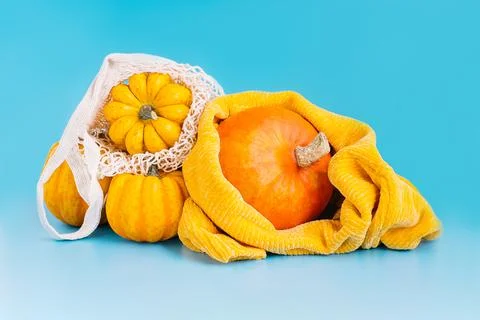 Vegetable fall food concept.Composition of different varieties pumpkins.Happy Stock Photos