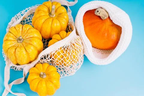Vegetable fall food concept.Composition of different varieties pumpkins.Happy Stock Photos