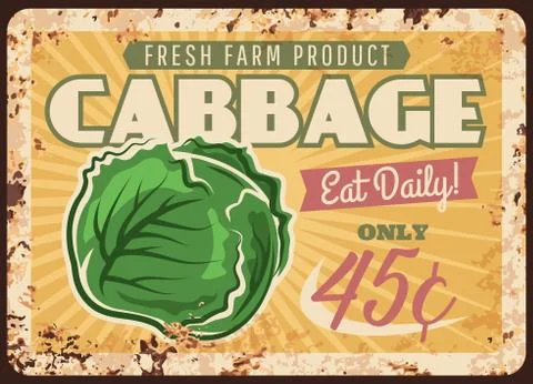 Vegetable farm cabbage rusty metal vector plate Ilustración de archivo