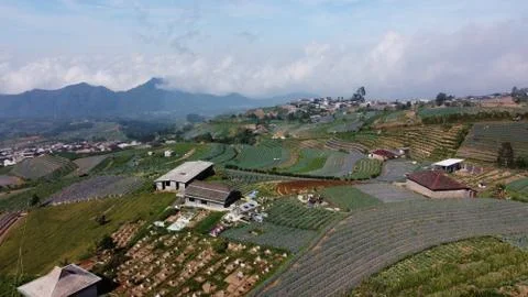 Vegetable fields on the slopes of Mount Sumbing Stock Photos
