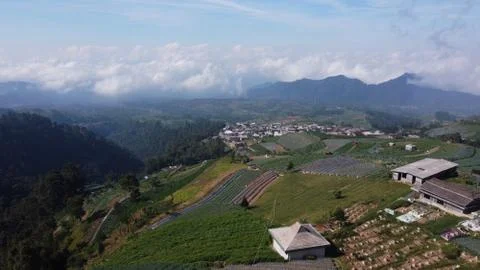 Vegetable fields on the slopes of Mount Sumbing Stock Photos