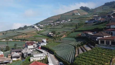 Vegetable fields on the slopes of Mount Sumbing Stock Photos