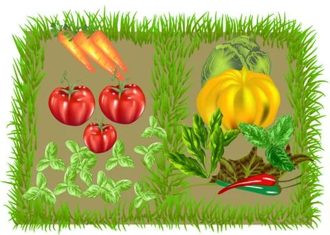 Vegetable food background Stock Illustration