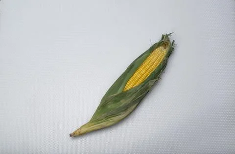 Vegetable food corn on white table. Stock Photos