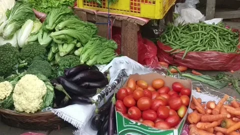 Vegetable Stock Footage 236969550