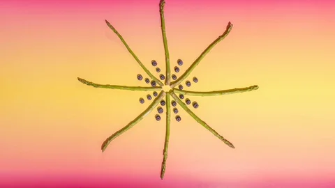 Vegetable Fruit Animated Pinwheel, Stop Motion Animation, 4K Stock Footage 95452203