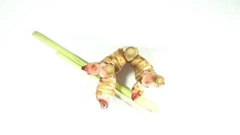 Vegetable of galangal, lemon grass Vidéo 219666781