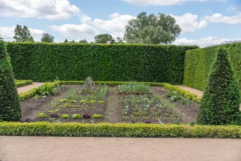 Vegetable Garden Bed Framed By Hedges And Topiary Stock Photos
