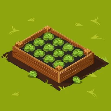 Vegetable Garden Box with Cabbage. Set 9 Stock Illustration