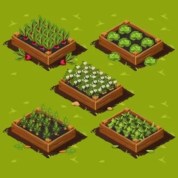 Vegetable Garden Box Stock Illustration