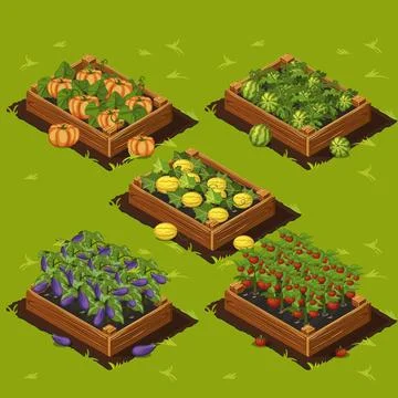 Vegetable Garden Box Stock Illustration
