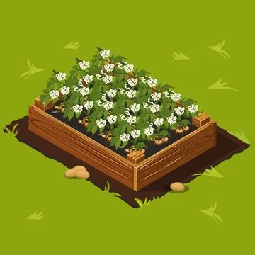 Vegetable Garden Box with Potatoes Set 12 Illustrazione stock