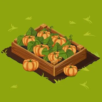 Vegetable Garden Box with Pumpkin. Set 8 Stock Illustration