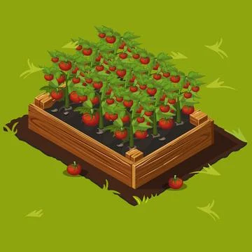 Vegetable Garden Box with Tomatoes. Set 4 Illustrazione stock