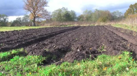 Vegetable garden Vídeo Stock 12269682