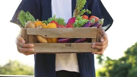 Vegetable garden Video stock 83353803