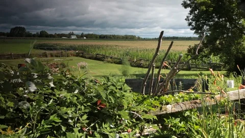 Vegetable garden landscape grey sky before the rain Stock Footage 113094948