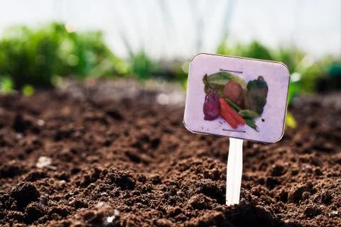 Vegetable garden Stock Photos