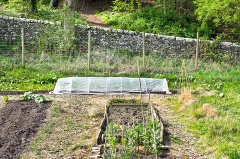 Vegetable garden Stock Photos
